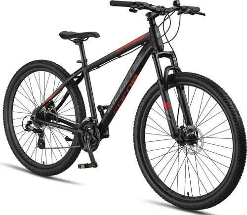 Mountainbikes bis 350 Euro von Licorne Bike GmbH