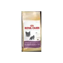 Royal Canin British Shorthair 34 4 Kg von Royal Canin