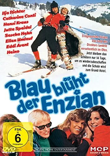Blau blüht der Enzian