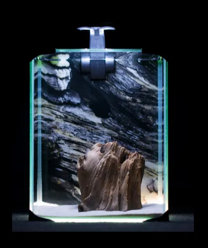 Aquarien Set NEO light 10l 4,3W Aquarium Komplettset Filter Heizung Beleuchtung