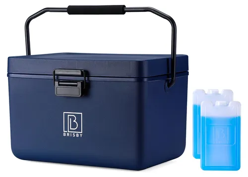 Brisby Kühlbox 12 l – Blau mit Tragegriff und Trennwänden