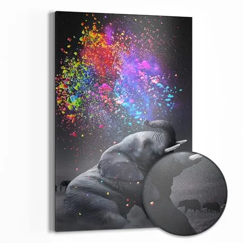DEQOART Metall Magnettafel | Farbexplosion der Natur 40x60 cm