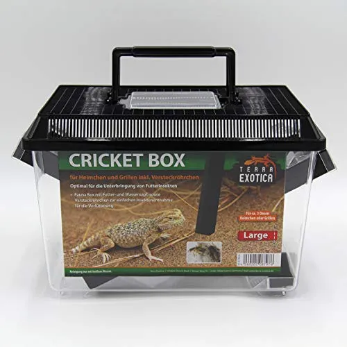 Terra Exotica Cricket Box - in Small oder Large - Transportbox für Reptilien - Fauna Box für Heimchen und Grillen zur Zucht (Large 30 x 19,5 x 20,5 cm)