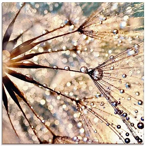 ARTLAND Wanddeko Glasbilder Wandbild Glas Bild einteilig Quadratisch Innere Ruhe Wellness Abstrakt Pflanzen Blumen Pusteblume Dandelion Regen Tau Tropfen S8WZ