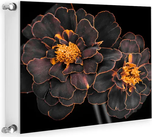 Magnet Heizkörperverkleidung Heizkörperabdeckung 60 x 60cm Blumen