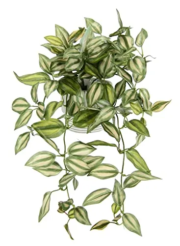 I.GE.A. Kunstpflanze Tradescantia zebrina im Topf, 42 cm - Hochwertige Kunstpflanze mit eleganten, hängenden Blättern. Pflegeleicht und ideal für Innenräume und geschützte Außenbereiche. Lieferung im modernen Zement-Topf für stilvolle Akzente.