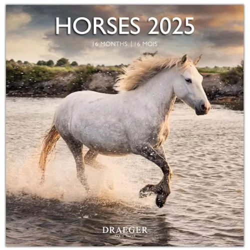 DRAEGER PARIS 1886 - Großer Wandkalender 29 x 29 cm 2025 – 7 Sprachen – September 2024 bis Dezember 2025 – 12 Fotos in verschiedenen Themen – Pferde – Termine, Geburtstage