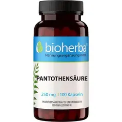 Pantothensäure 250 mg 100 Kapseln PZN 20013648