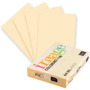Drucker- & Kopierpapier Beige von Antalis