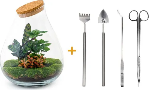 Diy Terrarium