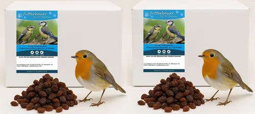 kg Futterbauer Futterrosinen 2 x 10