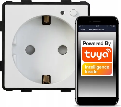 WiFi gesteuerte Unterputzdose TUYA RTX SH