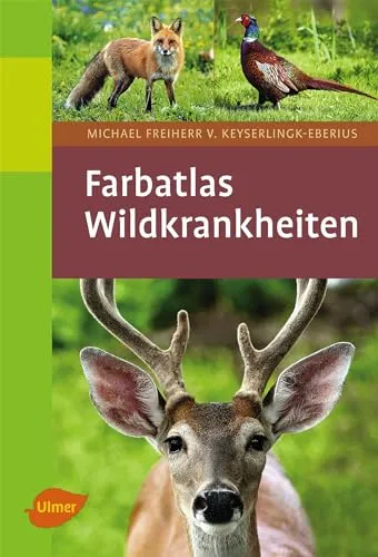 Wildkrankheiten - umfassender Ratgeber - Tiermedizin, bietet detaillierte Informationen zu Prävention und Behandlung von Krankheiten bei Wildtieren.
