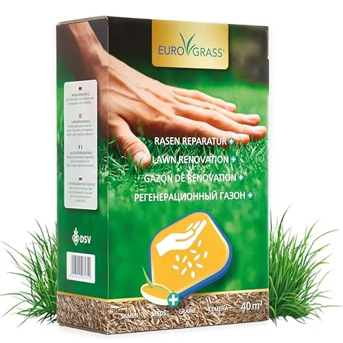 Rasensamen mit Coating für Schnelle Rasenreparatur | Schnellkeimende Mischung für Kahle Stellen & Turbo Nachsaat Rasen | Winterhart, Robust & Rasensamen Herbst – 1 kg für 40 m²
