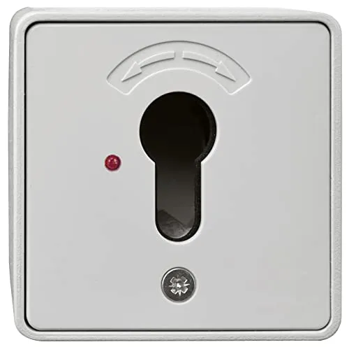 Rademacher Schlüsseltaster AP 8000 00 08 - Dimmschalter - Aufputz Schlüsseltaster für Garagentorantriebe, robust und einfach zu montieren, ideal für sicheren Zugang.