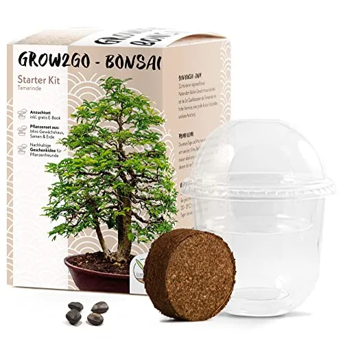 GROW2GO Bonsai Starter Kit Anzuchtset