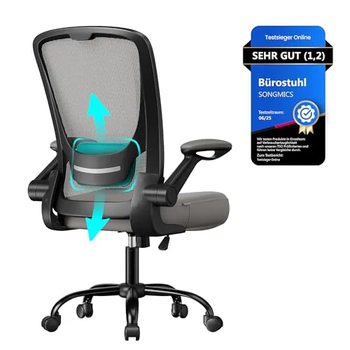 SONGMICS Ergonomischer Bürostuhl mit Mesh und Lendenstütze, klappbare Armlehnen, Taubengrau OBN037G01