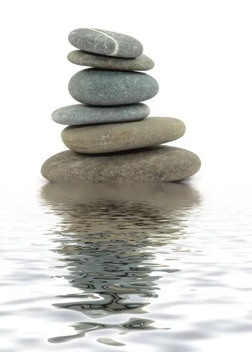 Rasch Vliestapete magicwalls, Botanical, weiß silber in silber von Rasch