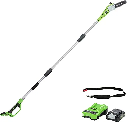 Greenworks G24PS20K2 Akku Hochentaster,20 cm Blattlänge, 6,7 m/s Kettengeschwindigkeit, 3,2 kg, automatisches Öl-System, 50 ml Öltank, 2,6m Stangenreichweite,24V 2Ah Akku & Ladegerät, 3 Jahre Garantie