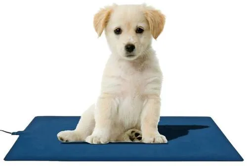 AccuLux Mat4Pet Heizmatte 500 mm x 300 mm Blau