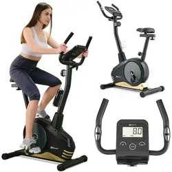Hop-Sport Heimtrainer Fahrrad Spark Gold