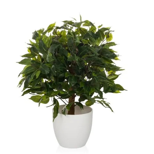 hjh OFFICE Kunstpflanze FICUS II - 65 cm Birkenfeige - Künstliche Pflanze, ideal für Allergiker, pflegeleicht und perfekt für Innen- und geschützte Außenbereiche. Detailgetreues Aussehen mit hochwertigem Kunststoff-Mix.