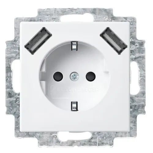 Busch-Jaeger SCHUKO-2x (2CKA002011A6266) - Doppelsteckdose, hochwertig und sicher für Ihr Zuhause