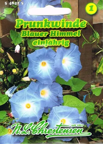 Prunkwinde Blauer Himmel Pharbitis purpurea Winde rankend Saatgut