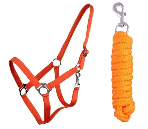 ARBO-INOX Halfter-Set Beginner - Halfter + Führstrick mit Karabinerhaken verstellbar (Pony, Orange)