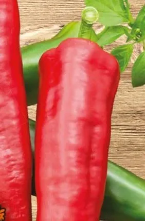 Stk - 10x Spitzpaprika lang rot Medrano F1 Gemüse Paprika Garten Pflanzen - Samen K427 - Seeds & Plants Shop by Ipsa