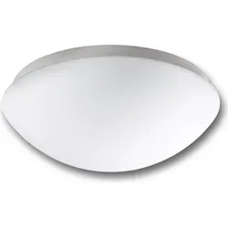 Steinel Professional Deckenleuchte SLAVE RS PRO 1000 mit Glasabdeckung