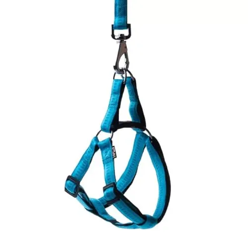HAPPET Soft Style Hundegeschirr M, verstellbar, 28–46 cm, 1,5 cm breit, türkis,strapazierfähige Beschläge, ideal für Spaziergänge, praktisch und ästhetisch ansprechend.