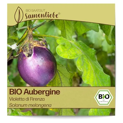 Samenliebe BIO Auberginen Samen alte Sorte Violetta di Firenza baby Aubergine runde Eierfrucht violett 10 Samen samenfestes Gemüse Saatgut für Gewächshaus Freiland und Balkon BIO Gemüsesamen