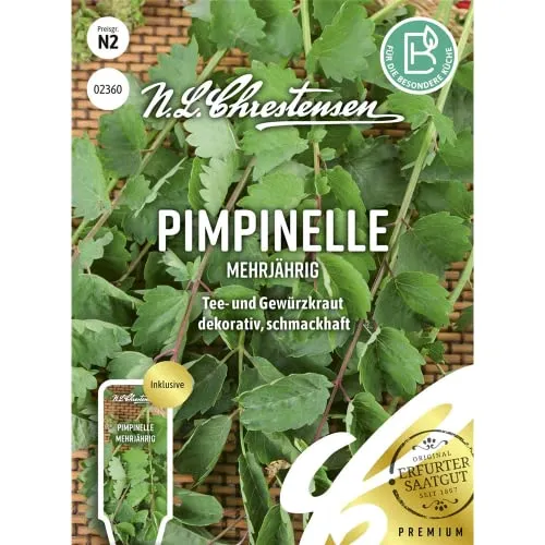 Pimpinelle Mehrjährig Samen, Saatgut