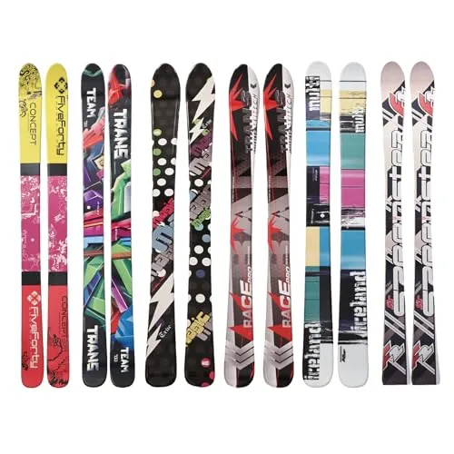 F2 Ski Speedster SL Sondermodell 170cm Grau/Schwarz