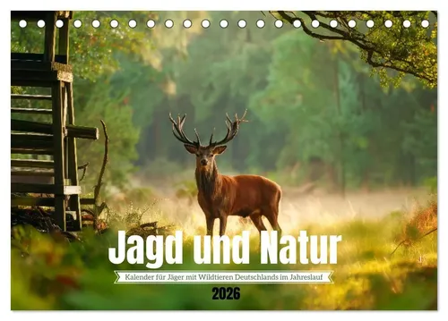 Mb Fotografie | Jagd und Natur - Kalender 2025 - Stimmungsvoller Jagdkalender mit heimischen Wildtieren. 14 Seiten voller beeindruckender Aufnahmen, ideal für Natur- und Jagdliebhaber.