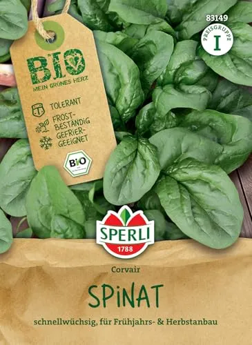 Sperli BIO Spinatsamen F1 83149 von SPERLI