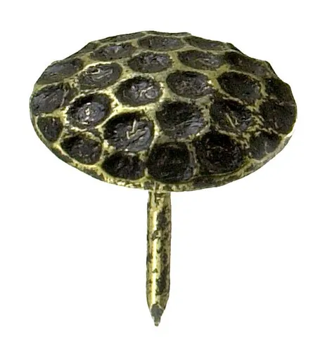 Ziernägel Ø 22,0 x 12,5 mm, 12 Stück von Connex