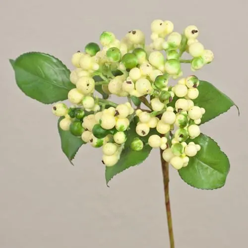 artplants.de Kunstzweig Holunderbeere Helma mit Beeren, Creme-grün, 30cm - Kunst Holunderbeeren Zweig