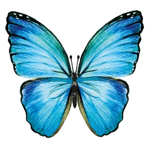 Servietten Butterfly Schmetterling Tiere Groß Garten Natur blau Deko 33x33cm 20