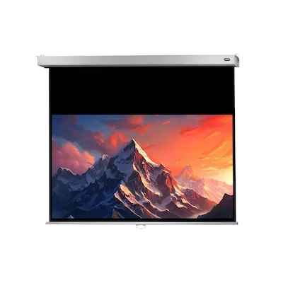 Celexon Rollo Professional Plus 1090788 - Hochwertige Rolloleinwand 220 x 124cm - Beamer-Leinwände mit hervorragender Bildqualität im Format 16:9, ideal für Präsentationen und Heimkino.
