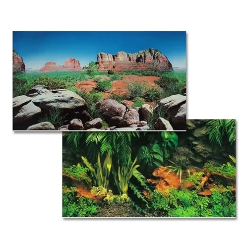 Hobby Fotorückwand - Regenwald/Red Canyon - 60 x 40 cm - Rückwandfolie für Aquarien/Terrarien - Meerwasseraquarien und Süßwasseraquarien