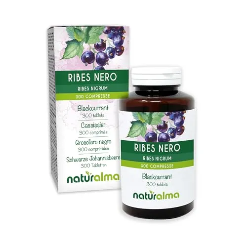 Schwarze Johannisbeere (Ribes nigrum) Blätter und Früchte Naturalma