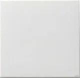 Gira 91603 Wippe Tastschalter Wechsel System 55