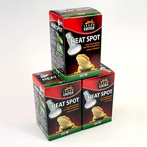 Terra Exotica Heat Spot 25 Watt - Wärmestrahler für Reptilien - 25W, 40W, 60W, 75W, 100W, 150W - Terrarium Wärme Spotstrahler - Terrarienbeleuchtung - Wärmelampe (1, 25 W)