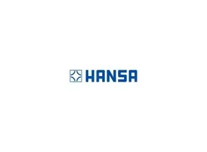Hansa Temperatur-Wählgriff 1017587V chrom)