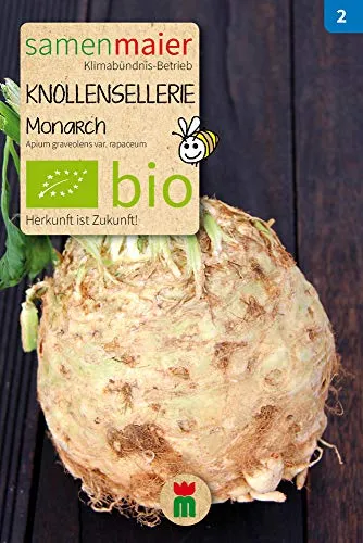BIO Knollensellerie Monarch Samen - Hohe Erträge, robust und pflegeleicht - Apium graveolens var. rapaceum - Aussaat März, April - Inhalt reicht für ca. 50 Pflanzen - Samen Maier