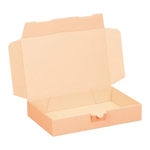 Maxibriefkartons 240 x 160 x 45 mm BRAUN Maxibrief Karton Faltschachtel stabil Versandkarton für Post DHL Versand DIN A5 Warensendung Büchersendung Versandschachtel mit Steckverschluss (25)