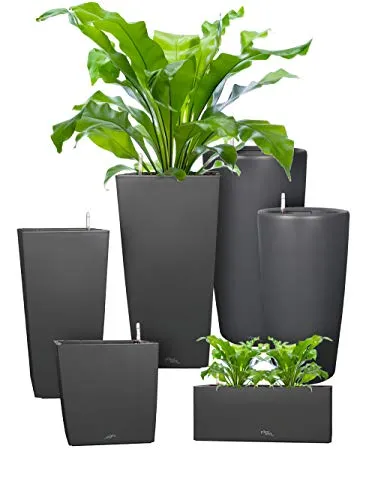 Pflanzwerk® ÖKOSYSTEM Pflanzkübel Square - 55x30x30cm Anthrazit mit Bewässerungssystem - Garten-Zubehör mit intelligentem Bewässerungssystem für bis zu 4 Wochen optimale Wasserversorgung. Frostbeständig und UV-geschützt, ideal für Indoor & Outdoor.