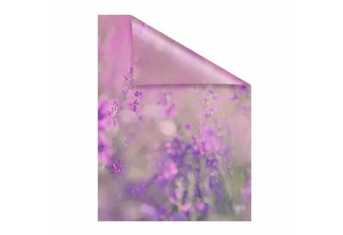 LICHTBLICK ORIGINAL Fensterfolie Blumenwiese von LICHTBLICK ORIGINAL